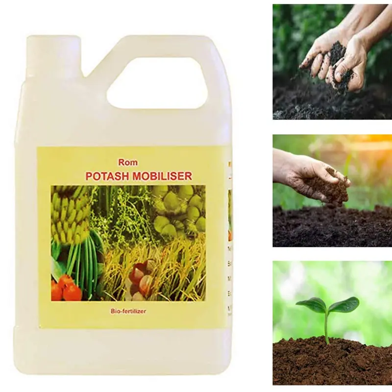 ROM Potash Solubiser for Plants  | Liquid Bio Fertilizer |  Plant Growth Promoter